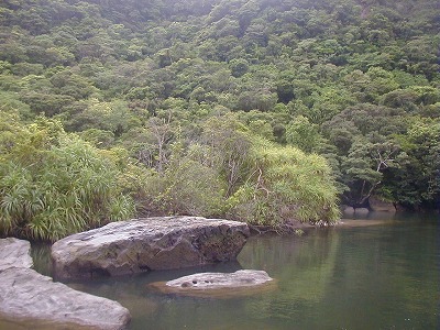 西表島写真集　雨石